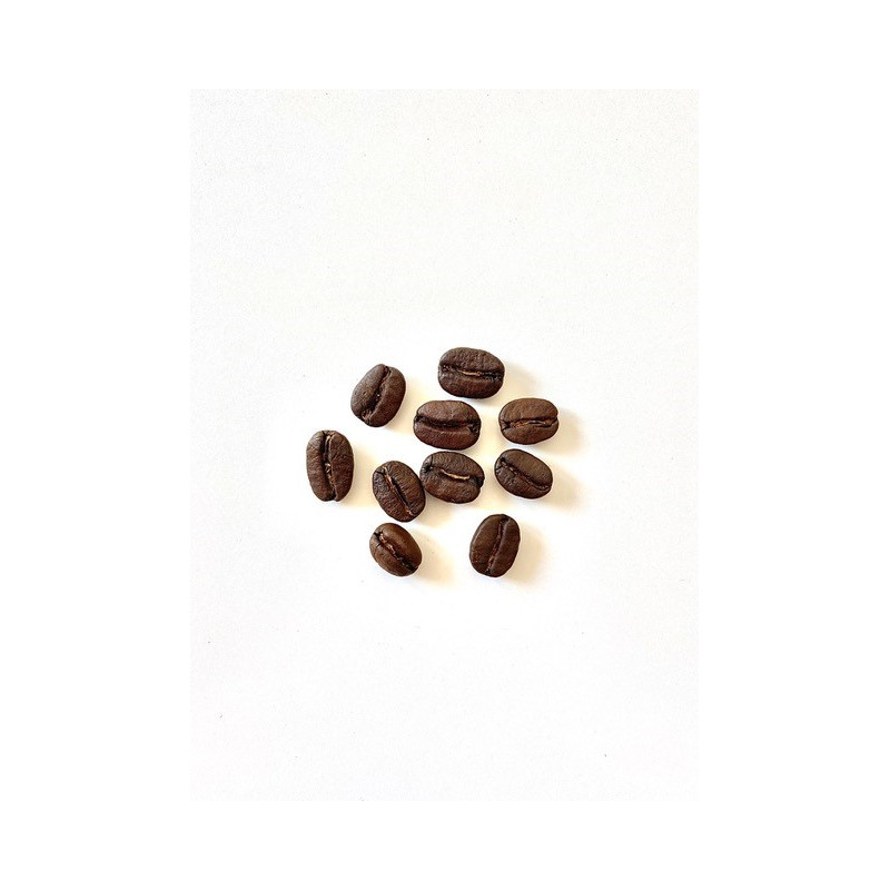 GRAN CAFFÈ 100% ARABICA GRAN CAFFÈ 100% ARABICA